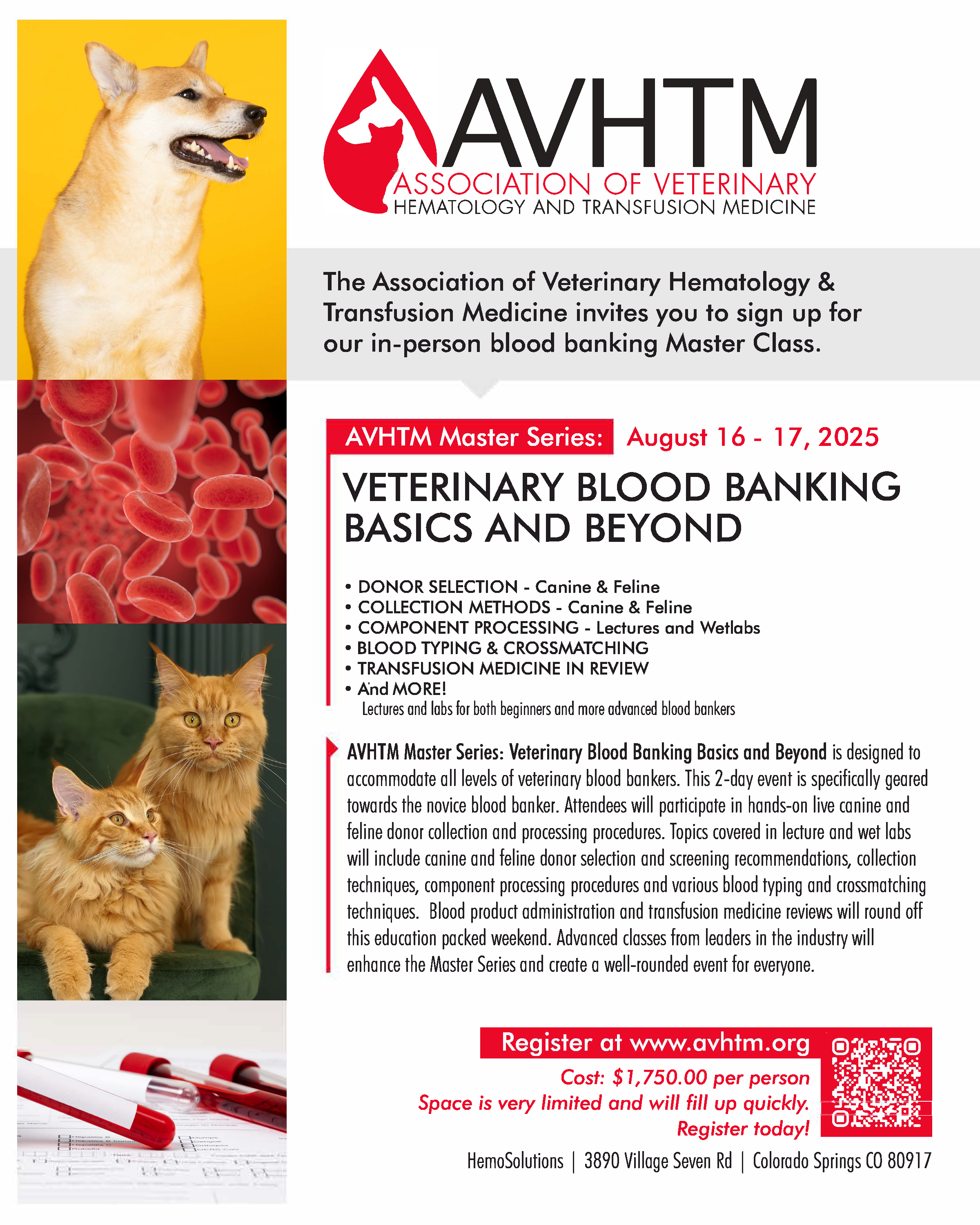 AVHTM Blood Banking Master Class